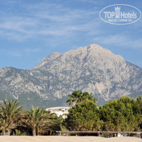 фото из отзыва ID 2281365