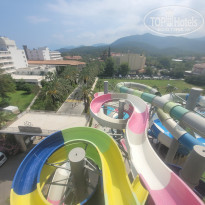 фото из отзыва ID 2281365