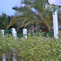 фото из отзыва ID 2281383