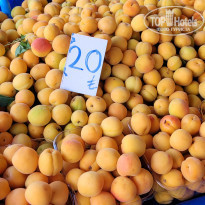 фото из отзыва ID 2281480