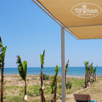 фото из отзыва ID 2281480