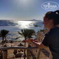 фото из отзыва ID 2281516