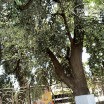 фото из отзыва ID 2281557