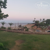 фото из отзыва ID 2281665