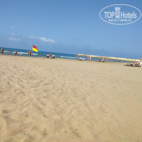 фото из отзыва ID 2281679