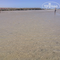 фото из отзыва ID 2281676