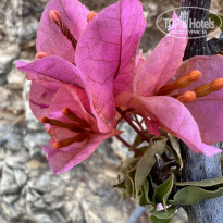 фото из отзыва ID 2281922