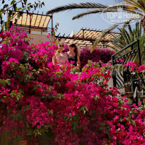 фото из отзыва ID 2282008