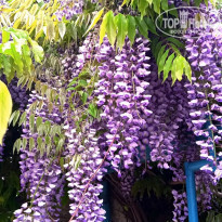 фото из отзыва ID 2282067