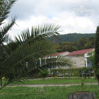 фото из отзыва ID 2282073