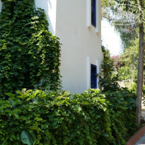 фото из отзыва ID 2282097