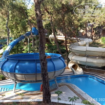 фото из отзыва ID 2282323