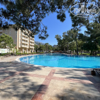 фото из отзыва ID 2282370