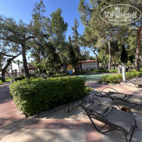 фото из отзыва ID 2282370