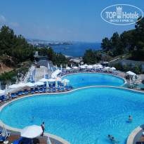 фото из отзыва ID 2282431