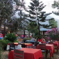 фото из отзыва ID 2281449