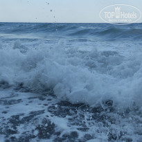 фото из отзыва ID 2281449