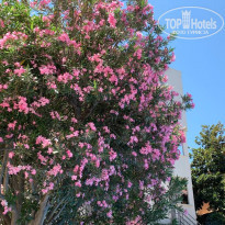 фото из отзыва ID 2282460