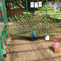 фото из отзыва ID 2282482