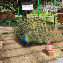 фото из отзыва ID 2282482