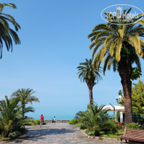 фото из отзыва ID 2282527