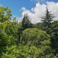 фото из отзыва ID 2282511