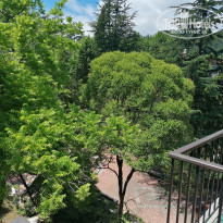 фото из отзыва ID 2282511