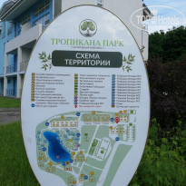 фото из отзыва ID 2282446