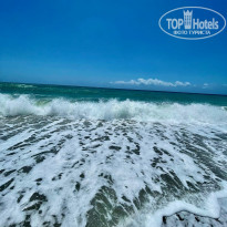 фото из отзыва ID 2282388