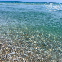 фото из отзыва ID 2282388