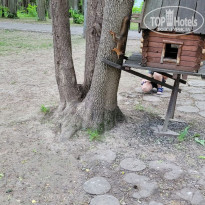 фото из отзыва ID 2282685