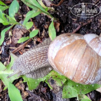 фото из отзыва ID 2282685