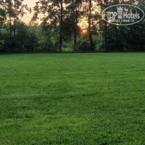 фото из отзыва ID 2282685