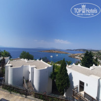 фото из отзыва ID 2282552