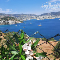 фото из отзыва ID 2282552