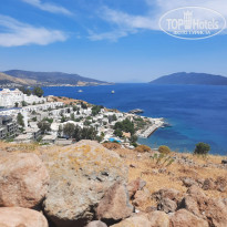 фото из отзыва ID 2282552