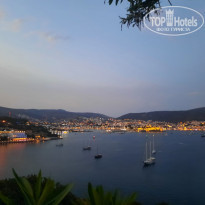 фото из отзыва ID 2282552