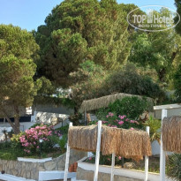 фото из отзыва ID 2282552