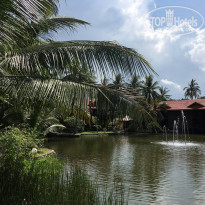 фото из отзыва ID 2282761