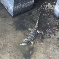 фото из отзыва ID 2282761