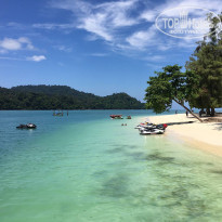 фото из отзыва ID 2282761