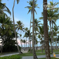 фото из отзыва ID 2282826