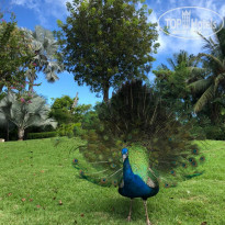 фото из отзыва ID 2282826