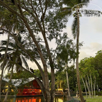 фото из отзыва ID 2282826