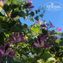 фото из отзыва ID 2282826