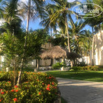 фото из отзыва ID 2282826