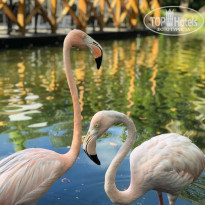 фото из отзыва ID 2282826