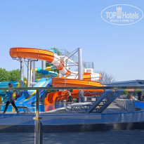 фото из отзыва ID 2282840