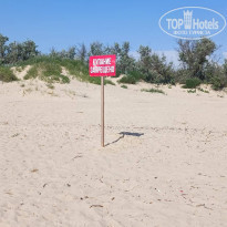 фото из отзыва ID 2282840