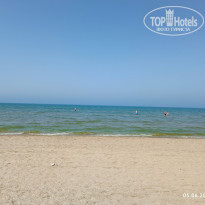 фото из отзыва ID 2282840